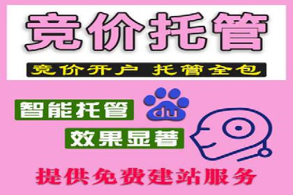 百度竞价排名案例：实战解析如何抢占市场先机